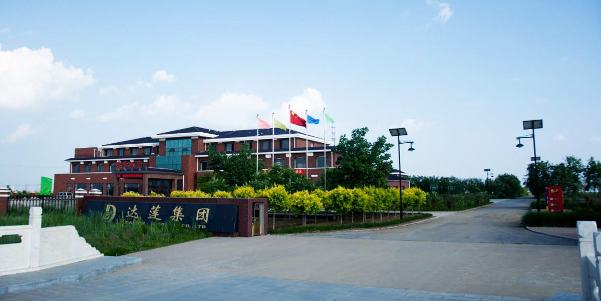 熱烈慶祝達(dá)蓮海參網(wǎng)站正式上線！