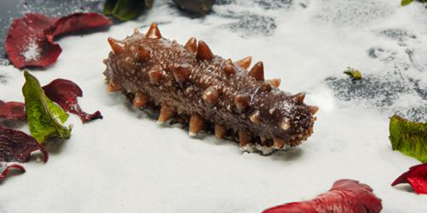 怎樣快速的區(qū)分淡干海參、鹽干海參和凍干海參？